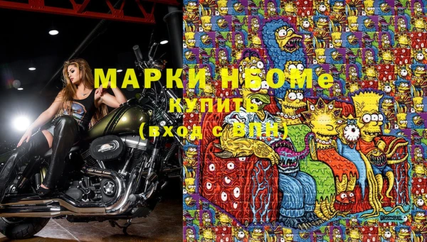 дмт Аркадак