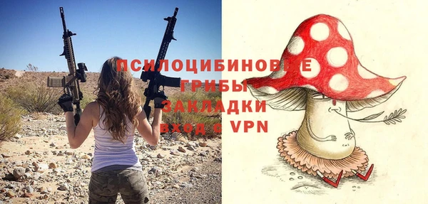 дмт Аркадак
