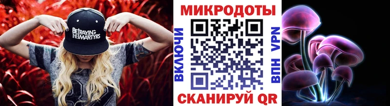 купить наркотик  Магас  Галлюциногенные грибы Magic Shrooms 